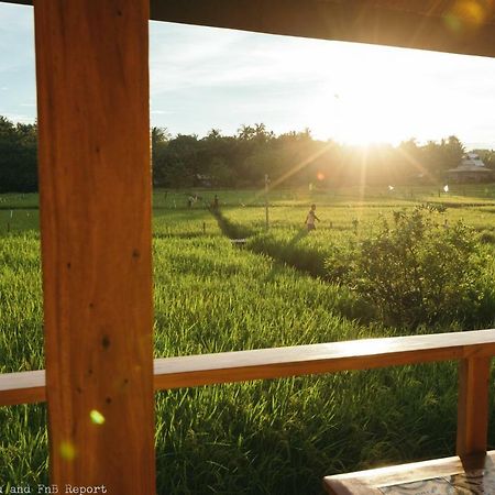 Guerrera Rice Paddy Villas Mambajao Exteriér fotografie