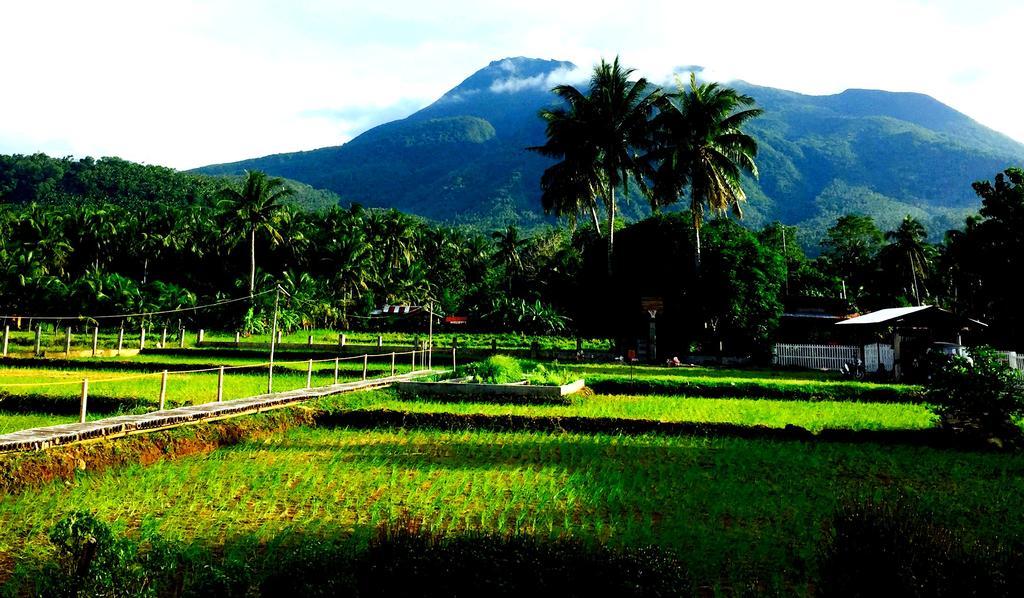 Guerrera Rice Paddy Villas Mambajao Exteriér fotografie