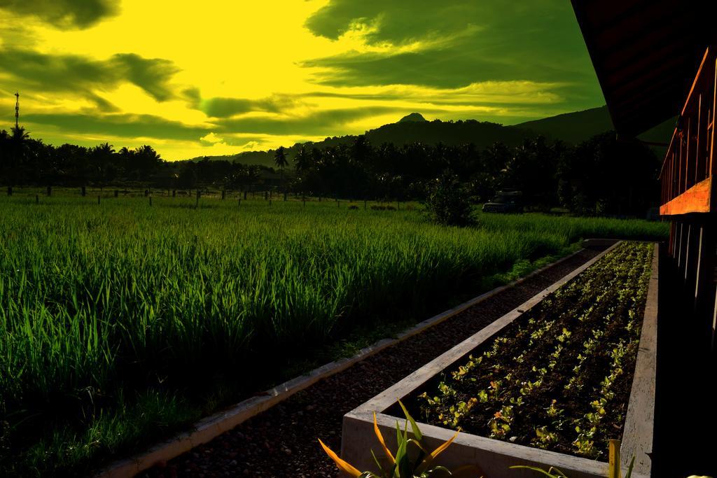 Guerrera Rice Paddy Villas Mambajao Exteriér fotografie