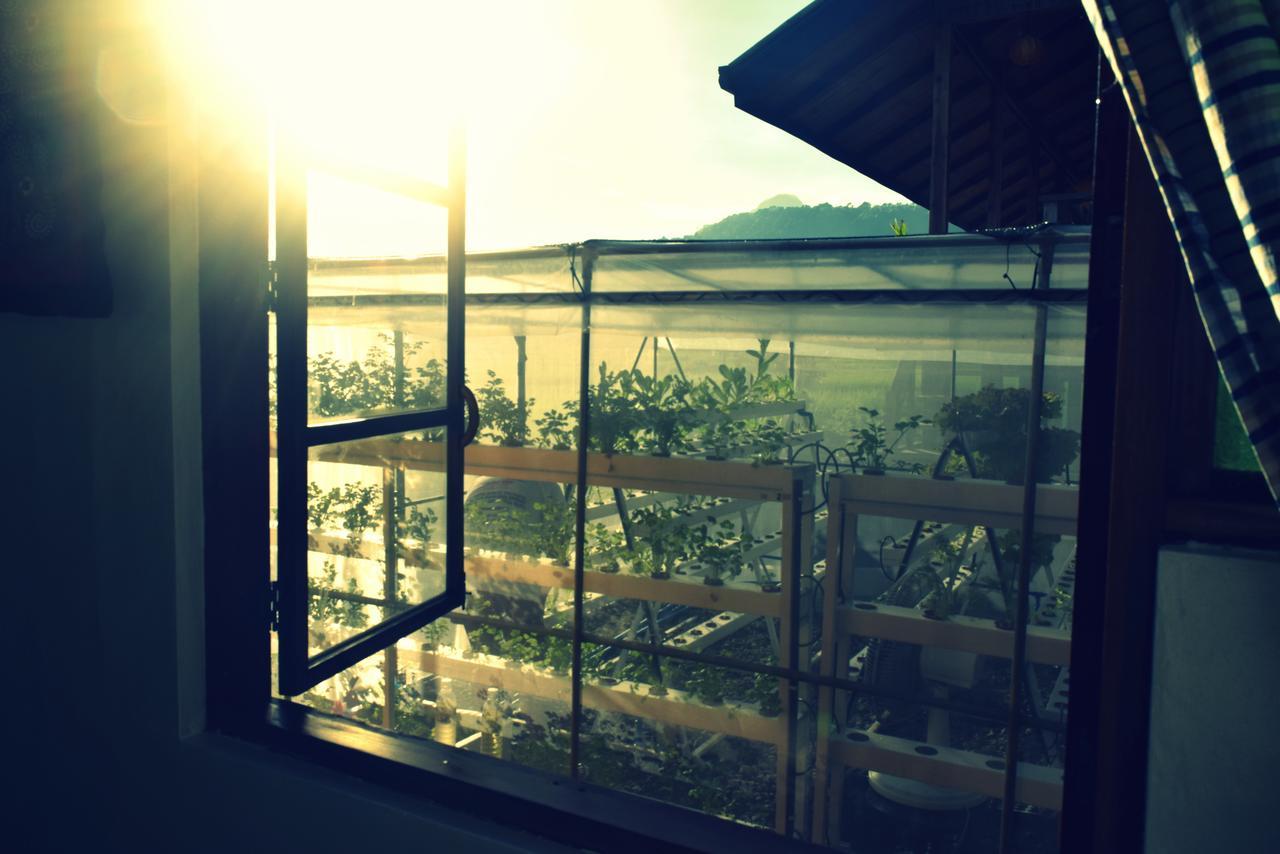 Guerrera Rice Paddy Villas Mambajao Exteriér fotografie