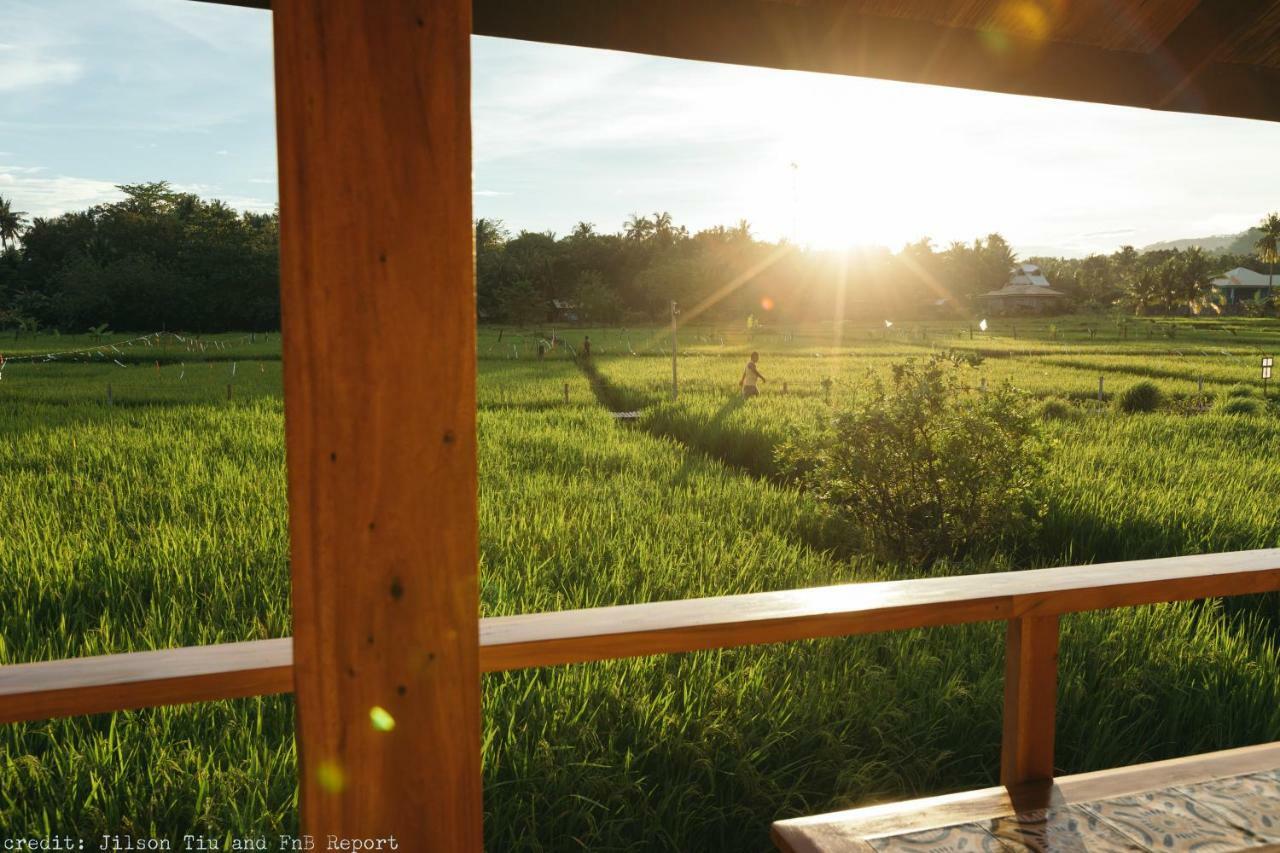 Guerrera Rice Paddy Villas Mambajao Exteriér fotografie